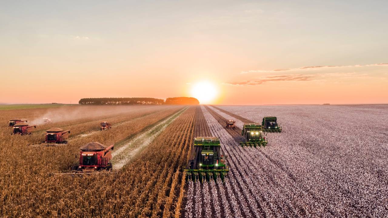 agricultura