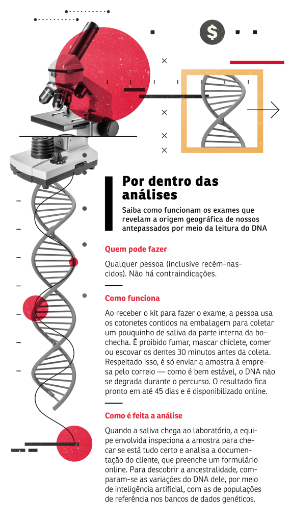 por-dentro