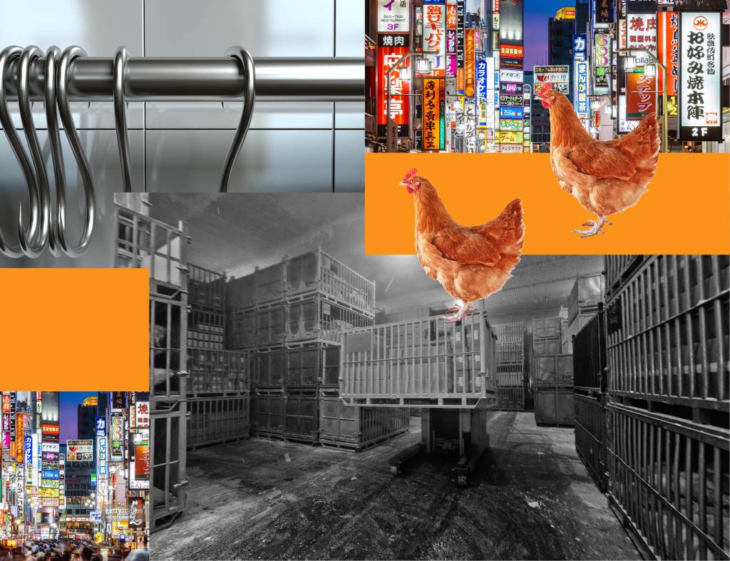 Gripe aviária no Japão bomba as ações dos frigoríficos