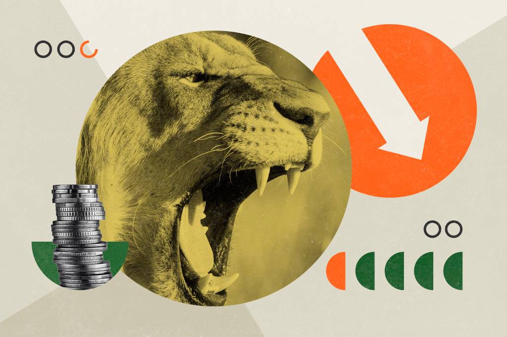 Entenda a reforma no imposto de renda, e a tributação sobre dividendos