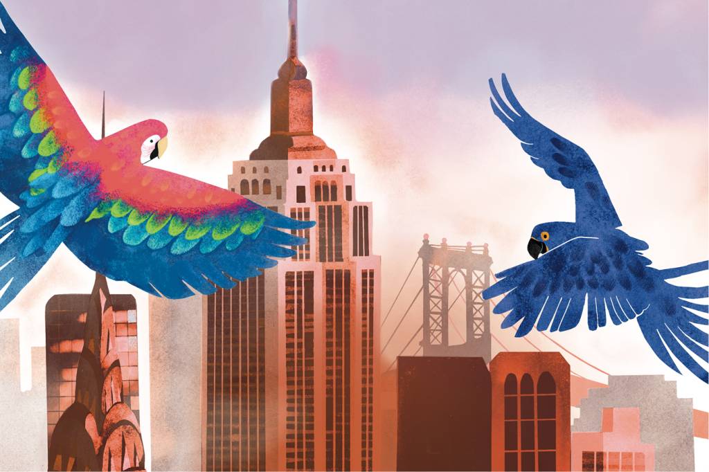 Bye-bye, Brasil: entenda a migração de empresas e investidores para as bolsas americanas