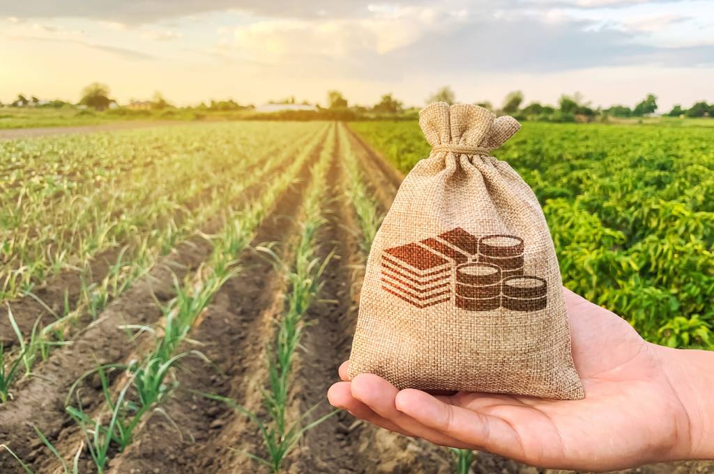 Bolsa abre a porteira para o agronegócio: oportunidade para os pequenos investidores