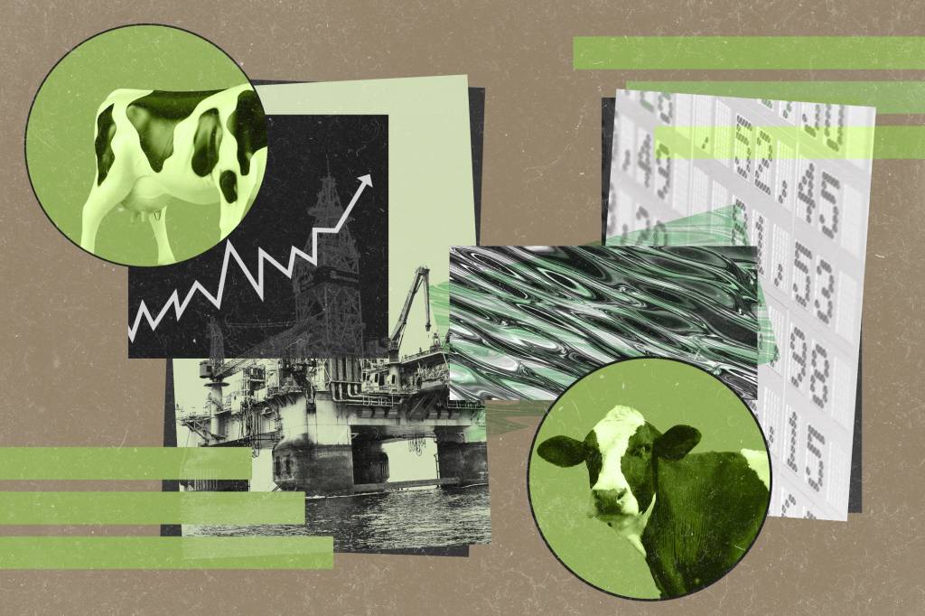 PETR3 e JBSS3 puxam alta de 0,41% do Ibovespa 