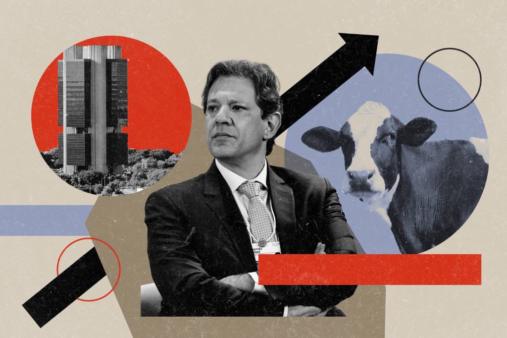 Haddad anima o mercado. Frigoríficos mugem de alegria