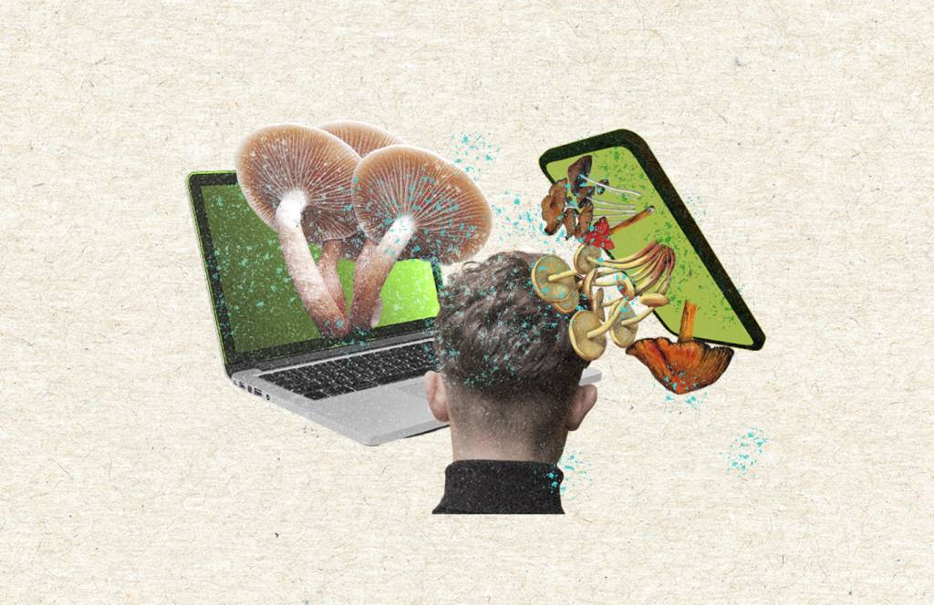 2025_março_paywall_brain_rot_03_layout_site -